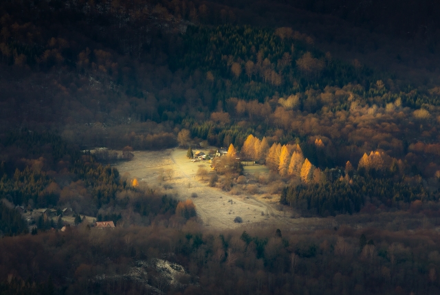 Domki pod lasem w Bieszczadach