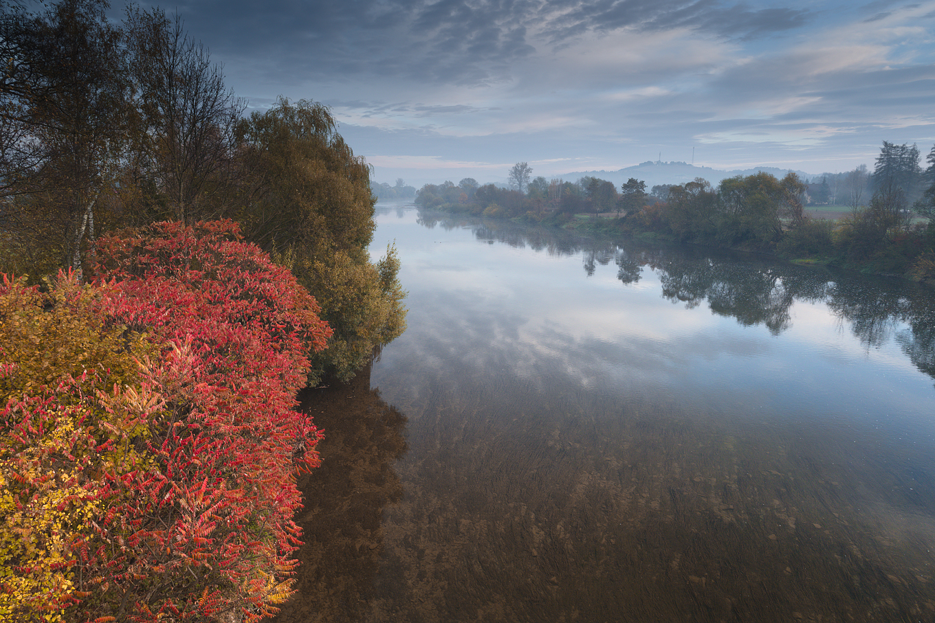 Rzeka San w okolicach Dynowa