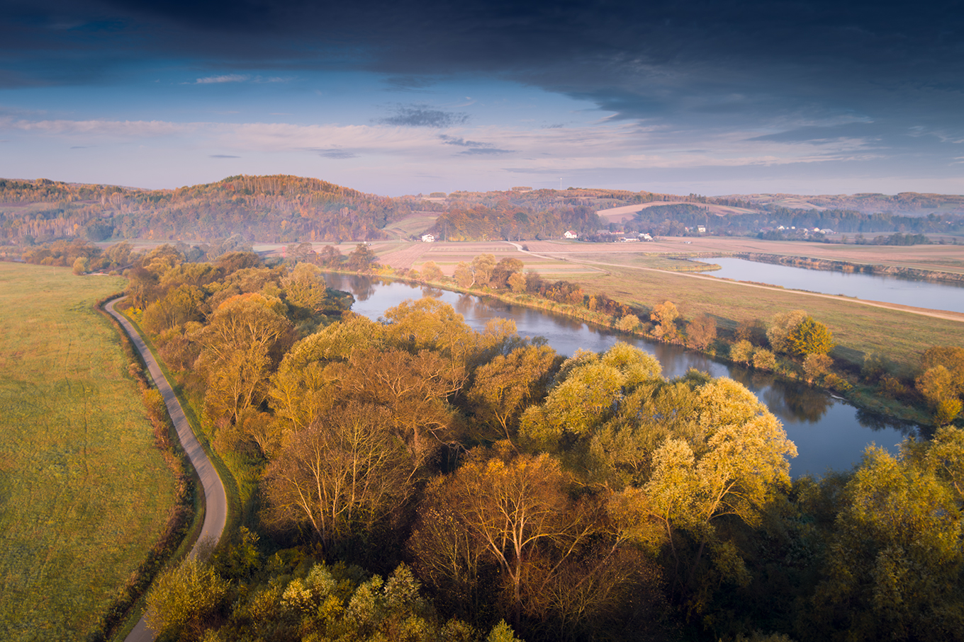 San w okolicach Dynowa