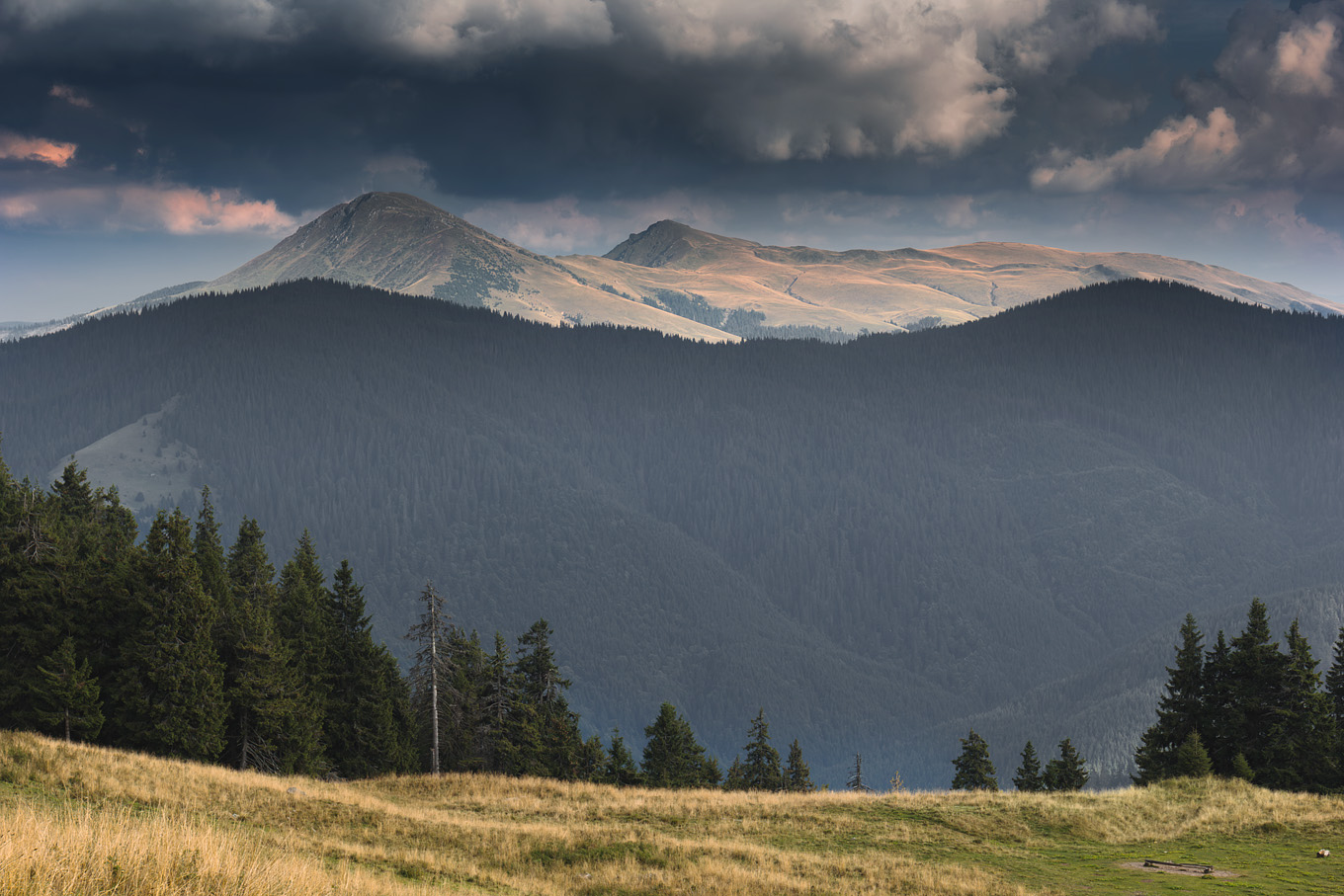 Widok na Karpaty Rumuńskie spod połoniny Latundur (Karpaty Marmaroskie)