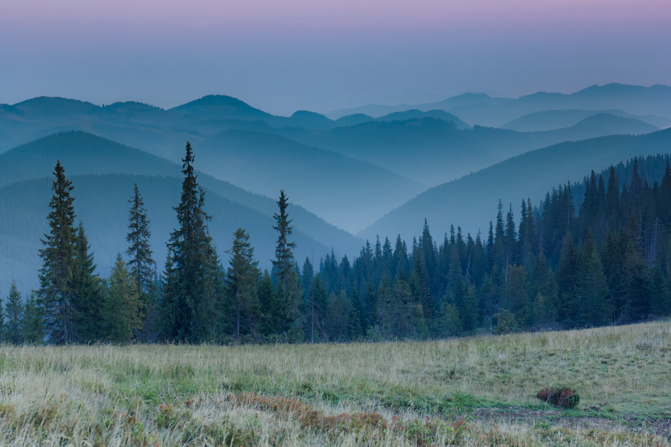Poranek na Połoninach Hryniawskich
