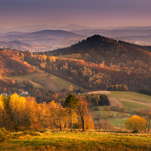 Panorama z Gór Słonnych