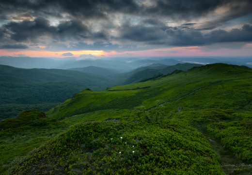 Bieszczady, szlak na Bukowe Berdo