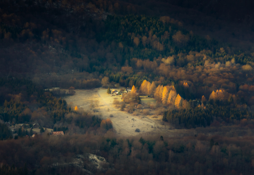 Domki pod lasem w Bieszczadach