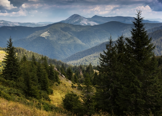 Widok z okolic połoniny Latundur na Farcaul w Karpatach Rumuńskich