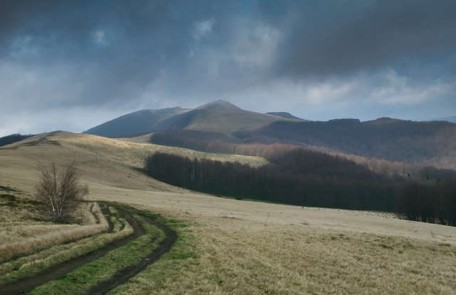 Bieszczady Wschodnie, pasmo Pikuja